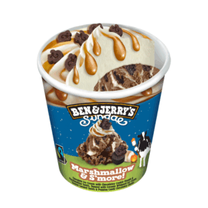 Ben & Jerry's Marshmallow & S'more